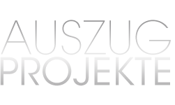Auszug Projekte